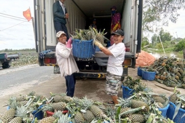 Logistics costs hamstring agricultural businesses